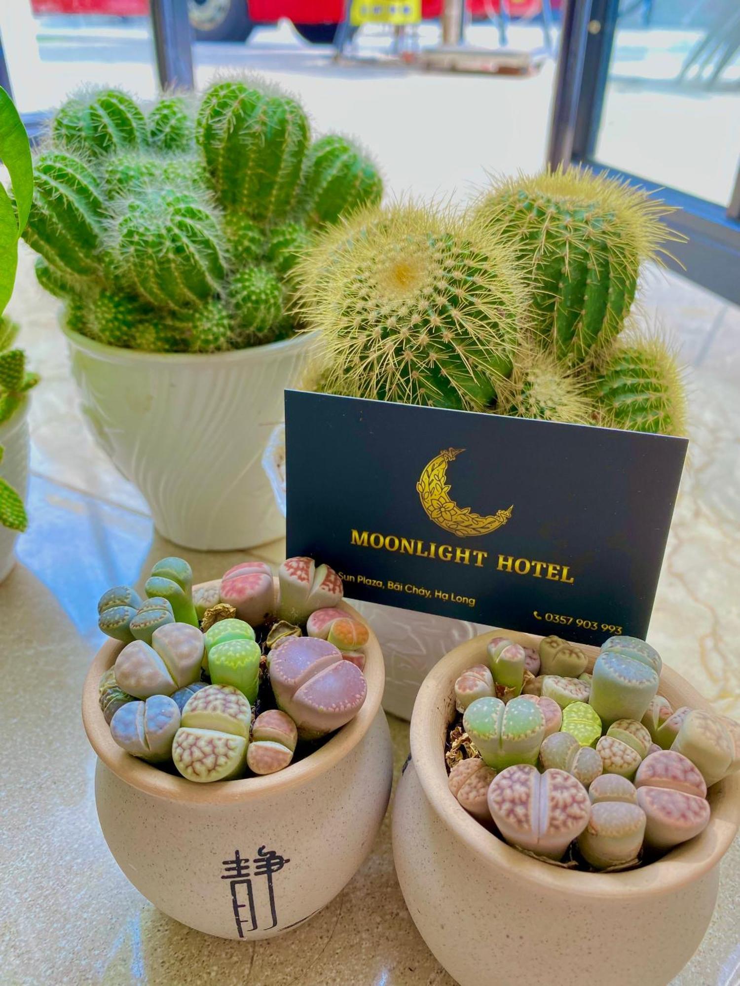 Moonlight Hotel Ha Long Esterno foto